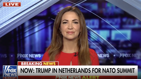 (Fox News Screenshot)
