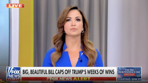 (Screenshot via Fox News)