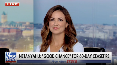 (Fox News Screenshot)