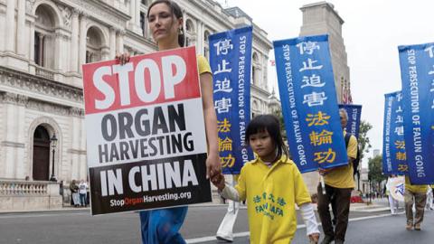 Falun Gong protestor holding a placard that says 'stop organ harvesting in China,' during a demonstration in London, United Kingdom on August 28, 2021. (Getty Images)