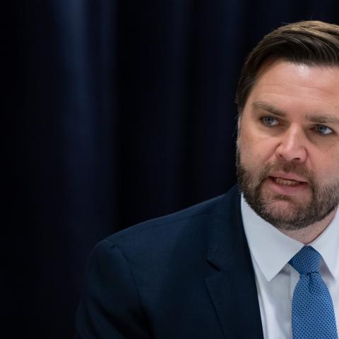 Vice President JD Vance will meet with Federal Foreign Minister Baerbock and Federal President Steinmeier at the the 61st Munich Security Conference. (Sven Hoppe/picture alliance via Getty Images)